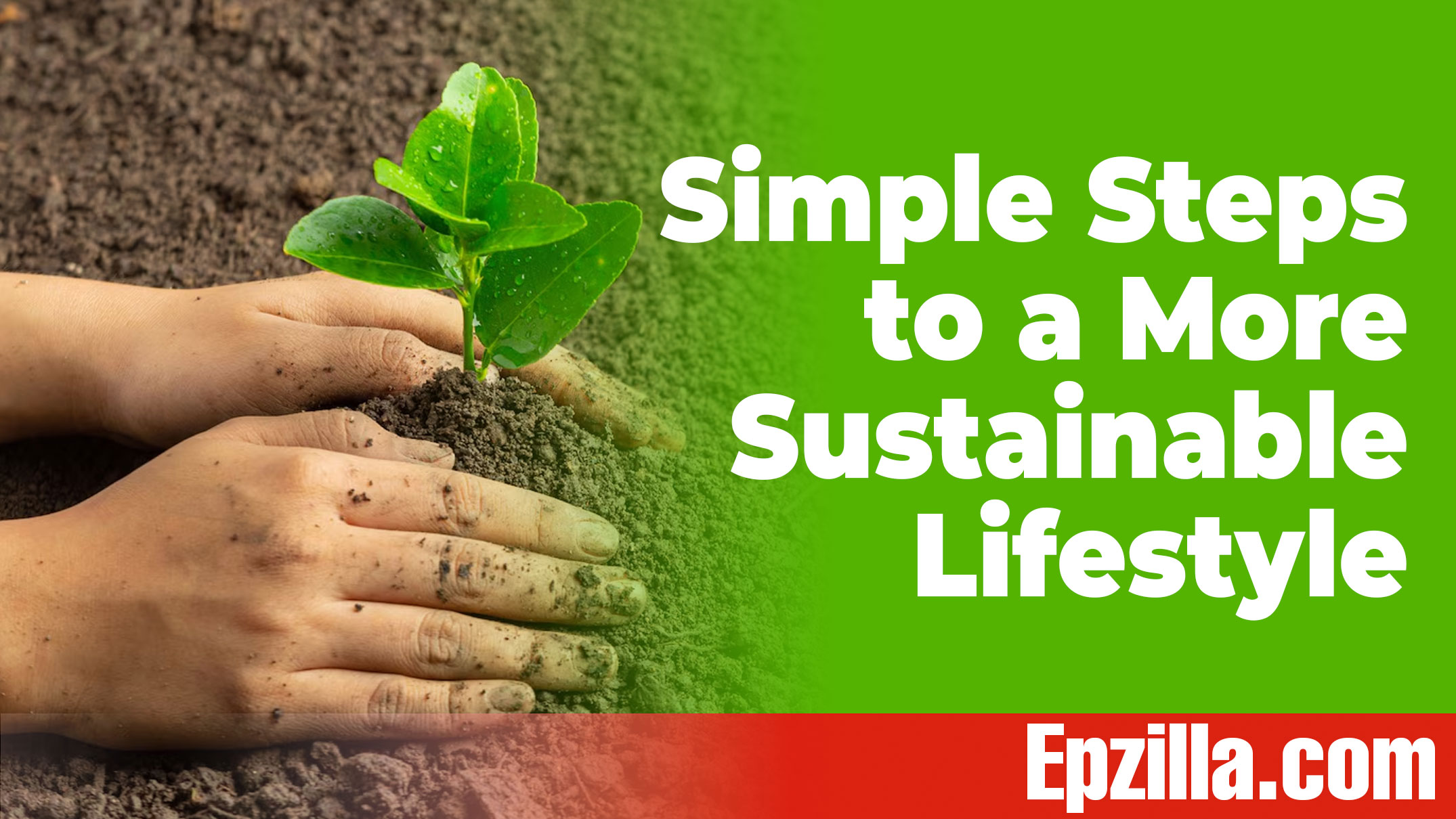 Green Living 101 Simple Steps to a More Sustainable Lifestyle Epzilla.com